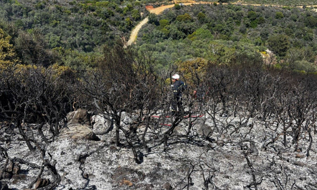 Υπό πλήρη έλεγχο η φωτιά στα Βελανίδια – Άμεση κινητοποίηση της Πυροσβεστικής