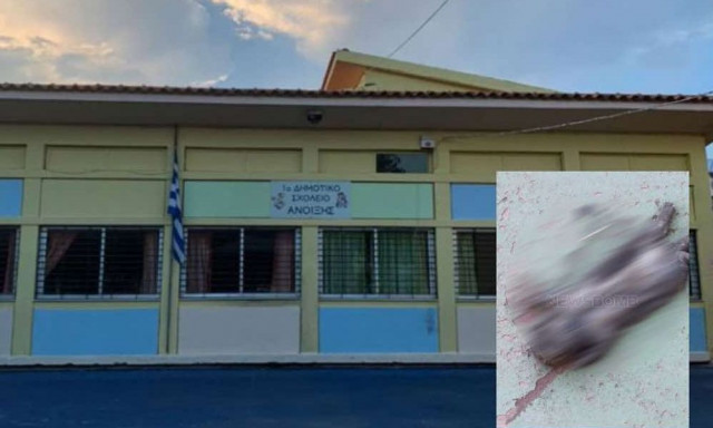 ΑΔΕΔΥ: Τετράωρη στάση εργασίας την Πέμπτη στα σχολεία