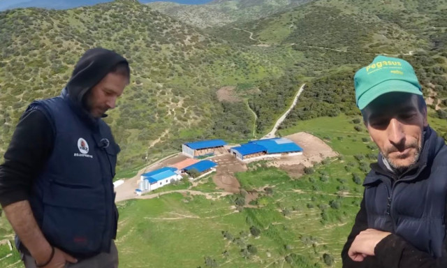 Λάρισα: Τα αδέρφια με τη δική τους φάρμα – Πώς έγιναν viral