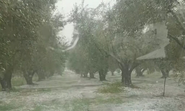 Αιτωλοακαρνανία: Δυνατό χαλάζι στο Αγρίνιο – Καταστροφές σε καλλιέργειες