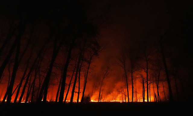 ΗΠΑ: Συνελήφθη 19χρονος που κατηγορείται ότι ξεκίνησε την μεγάλη πυρκαγιά στο Νιου Τζέρσεϊ