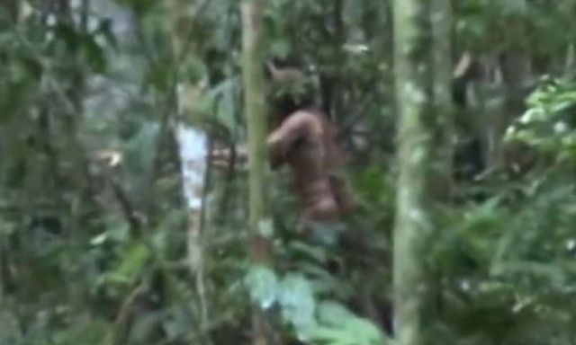 Η ιστορία του «πιο μοναχικού ανθρώπου»: Έζησε 26 χρόνια σε δάσος του Αμαζονίου αποκομμένος