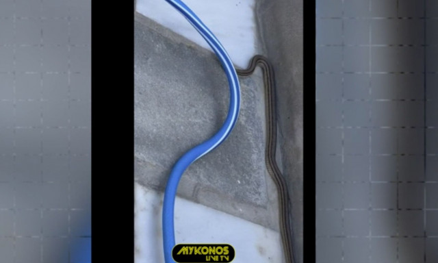 Μύκονος: Μεγάλη λαχτάρα για κάτοικο που αντίκρισε τεράστιο φίδι στο μπαλκόνι του