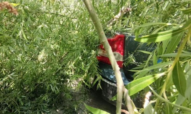 Ιωάννινα: Τρία Ι.Χ καταπλακώθηκαν από πτώση δέντρων εξαιτίας σφοδρών ανέμων