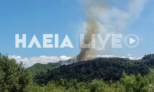 Φωτιά σε δασική έκταση στα Καλυβάκια Κρεστένων - Στη μάχη και εναέρια μέσα