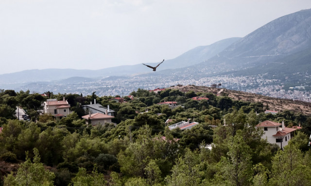 Καιρός: Θυελλώδεις άνεμοι 100 χλμ την ώρα στην Πεντέλη