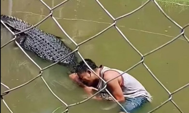 Φιλιππίνες: Μπέρδεψε τον κροκόδειλο με άγαλμα για μία selfie - Πάλευε για τη ζωή του 30 λεπτά