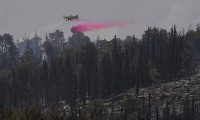 Καίγεται η Ιερουσαλήμ: Το Ισραήλ αντιμετώπιζει μια από τις χειρότερες πυρκαγιές της δεκαετίας