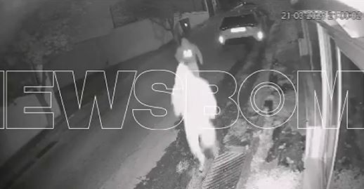 Άνω Λιόσια: Βίντεο ντοκουμέντο από τη δράση της εγκληματικής οργάνωσης με τα drones