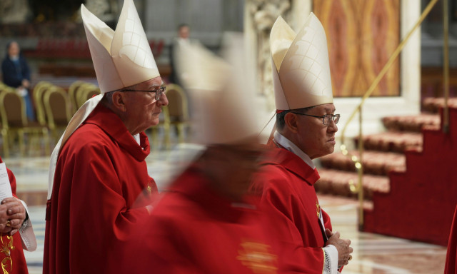Ποιος θα είναι ο επόμενος Πάπας; Υψηλόβαθμος Τέκτονας προτείνει Παρολίν
