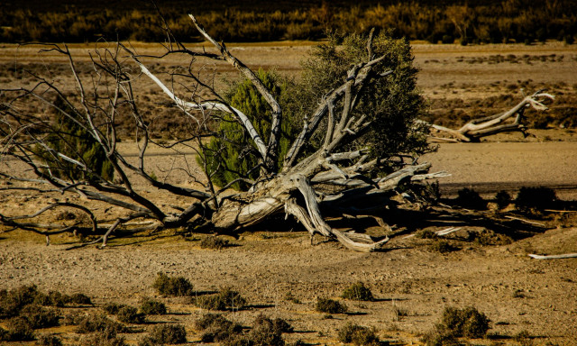 Δυτική Ελλάδα: Ξεκίνησε η λήψη μέτρων για την αντιμετώπιση της ξηρασίας