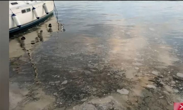 Βόλος: Αφόρητη δυσοσμία από θαλάσσια ρύπανση στο λιμάνι της πόλης - Πού οφείλεται