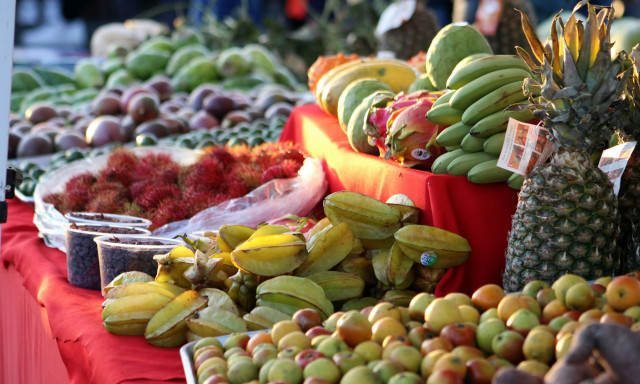 Η κατανάλωση φλαβονοειδών βοηθά στην καλύτερη γήρανση και μειώνει τον κίνδυνο άνοιας