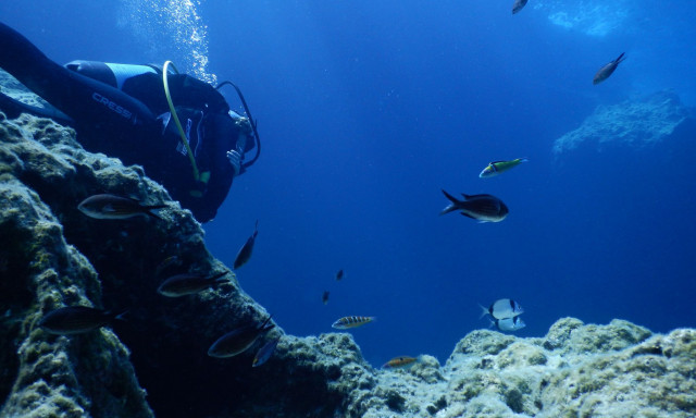 Ιστορικό βήμα: Ελλάδα επικύρωσε την Παγκόσμια Συνθήκη για τους Ωκεανούς