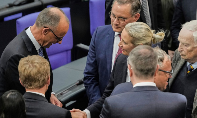 Γερμανία: Διαδηλωτές ζητούν την απαγόρευση του AfD