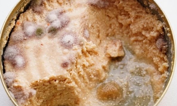 Οι πιο αηδιαστικές κονσέρβες στον πλανήτη: Δεν αντέχεις ούτε να τις πλησιάσεις