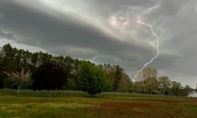 Γαλλία: Κεραυνός έπεσε σε ζωολογικό κήπο - 13 τραυματίες, μια γυναίκα σε κρίσιμη κατάσταση