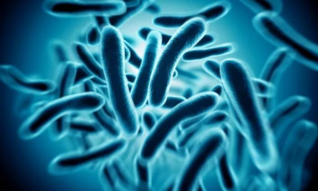 Η Κίνα παρουσιάζει στον κόσμο την «τέλεια μπαταρία» κατασκευασμένη από ζωντανά όντα