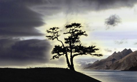 Νέες προβολές της ταινίας «Invisible World» του Manuel de Coco, στον κινηματογράφο Δαναό