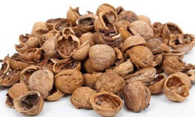 Γιατί βάζουν κελύφη καρυδιών σε γλάστρες; Τα μυστικά των έμπειρων κηπουρών λουλουδιών