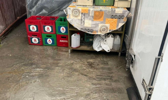 Θεσσαλονίκη: «Ήταν πολύ μικρό, 12-13 εκατοστά», περιγράφει ιδιοκτήτρια της καντίνας