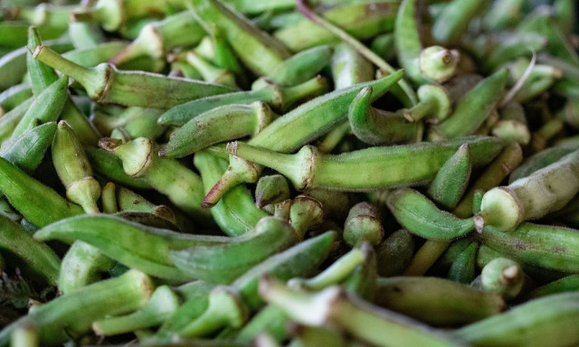 Μπάμιες: Κι όμως έτσι λέγονται στα ελληνικά!