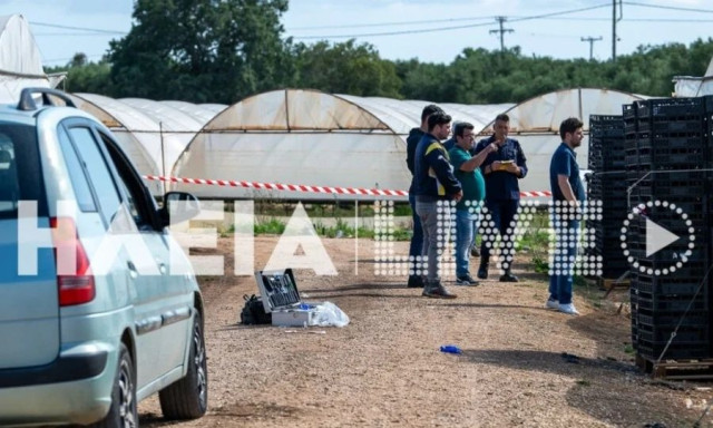 Δολοφονία στη Βάρδα: Πρώτα τον μαχαίρωσε μετά πήγε να… μαζέψει φράουλες – Σοκάρουν οι λεπτομέρειες
