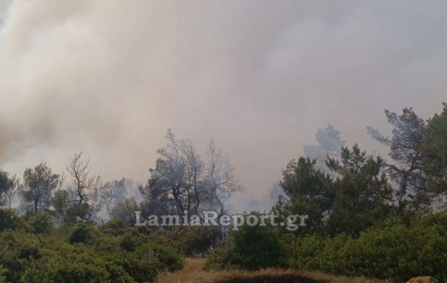 Σε ύφεση η φωτιά στη Ριτσώνα – Χωρίς ενεργό μέτωπο