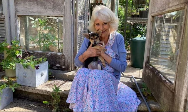 Bασίλισσα Καμίλα: «Ερωτευμένη» με το νέο της κατοικίδιο, τη Μόλι