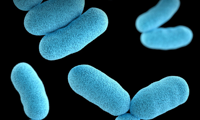 Ανακαλύφθηκε εξωγήινο βακτήριο σε κινεζικό διαστημικό σταθμό - Ανθεκτικό και με μοναδικές ιδιότητες