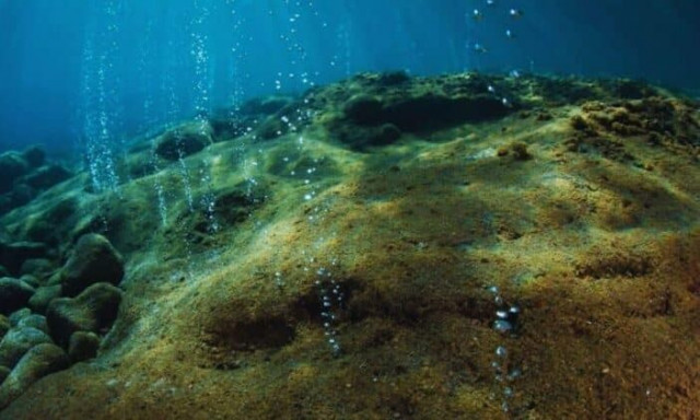 Σχεδόν 1 εκατομμύριο αυγά μεγέθους μισού μέτρου βρέθηκαν σε υποθαλάσσιο ηφαίστειο