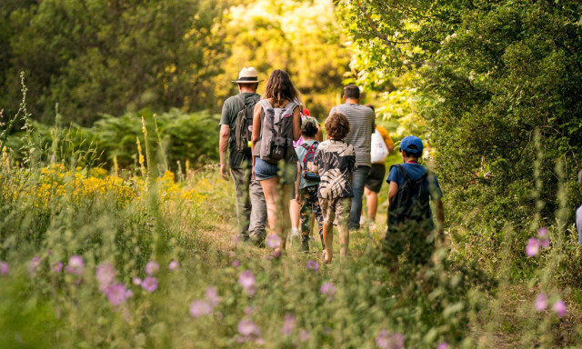 Vamvakou Experience Festival: Μουσική, τέχνες και γαστρονομία στον Πάρνωνα