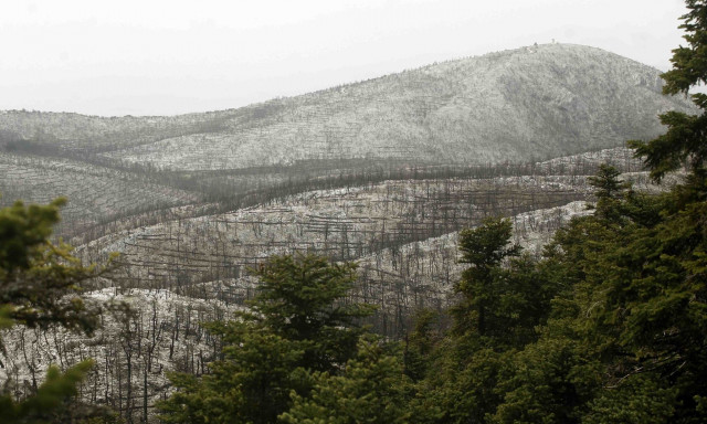 Πάρνηθα: Αίσιο τέλος για τη γυναίκα που χάθηκε ενώ έκανε πεζοπορία
