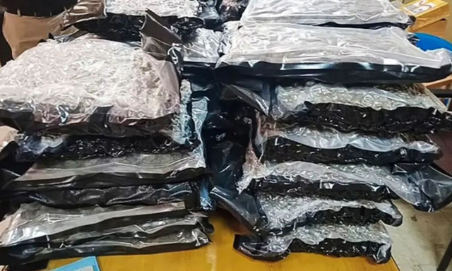 Πρώην αεροσυνοδός συνελήφθη να μεταφέρει νέο θανατηφόρο ναρκωτικό φτιαγμένο από ανθρώπινα οστά