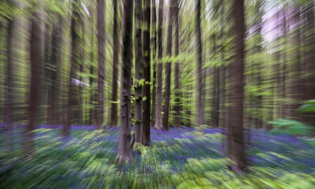 Φλόριντα: Γυναίκα πέθανε δύο φορές την ίδια ημέρα και βρέθηκε στο «ίδιο ακριβώς σημείο»