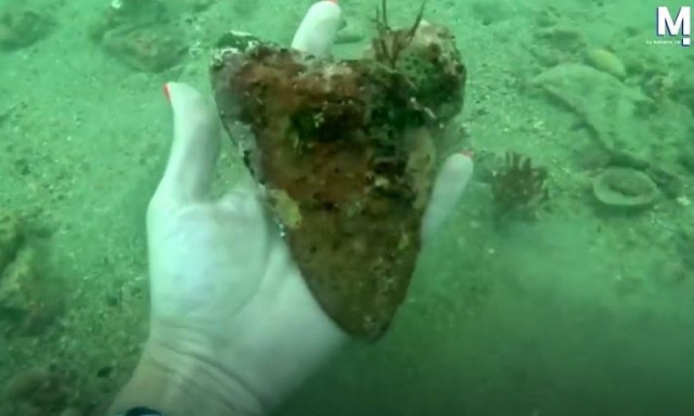 ΗΠΑ: Δύτης ανακάλυψε εκπληκτικά σπάνιο δόντι Μεγαλόδοντα καρχαρία