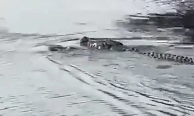 Ινδονησία: Κροκόδειλος άρπαξε 13χρονο που πήγε να πιάσει μπάλα που έπεσε στο ποτάμι -Σκληρές εικόνες