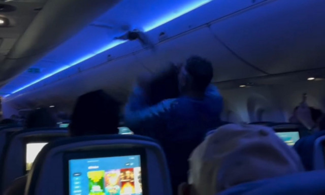 ΗΠΑ: Περιστέρια προκάλεσαν χάος σε αεροπλάνο πριν την απογείωση - Δείτε βίντεο