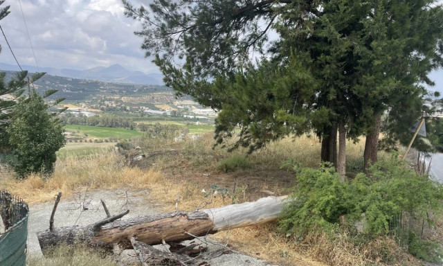 Κρήτη: Έπεσε δέντρο στην Λοφούπολη