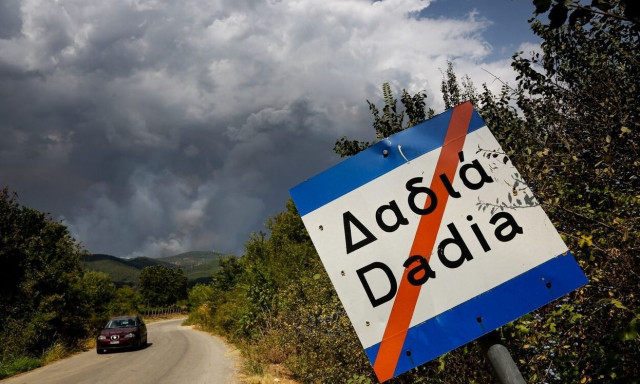 Η φύση πάντα επιστρέφει: Το δάσος της Δαδιάς αναγεννάται από τις στάχτες του