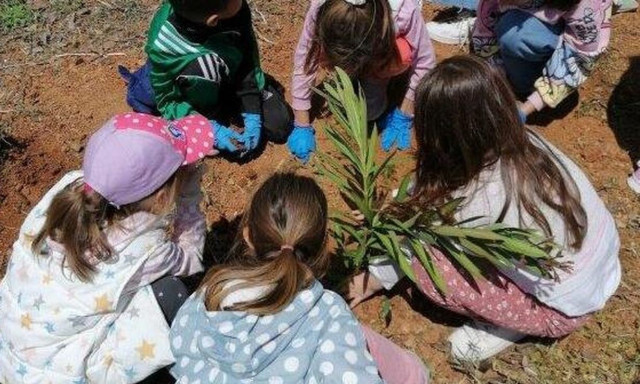 Μια χώρα φυτεύει το μέλλον της: Συνεργασία για δενδροφυτεύσεις σε κάθε γωνιά της Ελλάδας