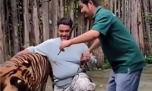 Ταϊλάνδη: Τίγρης όρμησε σε τουρίστα όταν επιχείρησε να βγάλει selfie της - Γιατί του επιτέθηκε