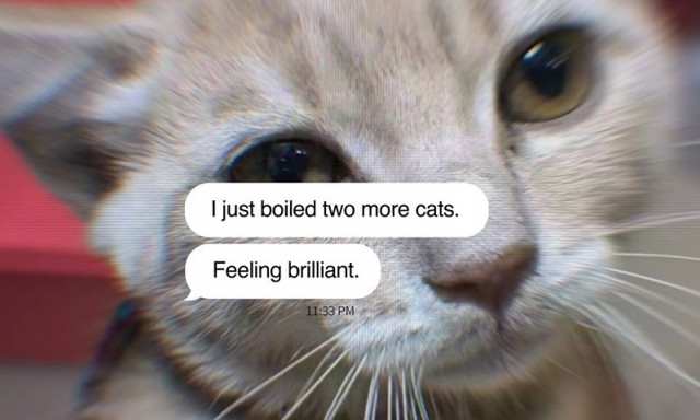 CNN: Μέσα στο διεθνές κύκλωμα διεστραμμένων που βασανίζουν και σκοτώνουν γάτες για χρήματα