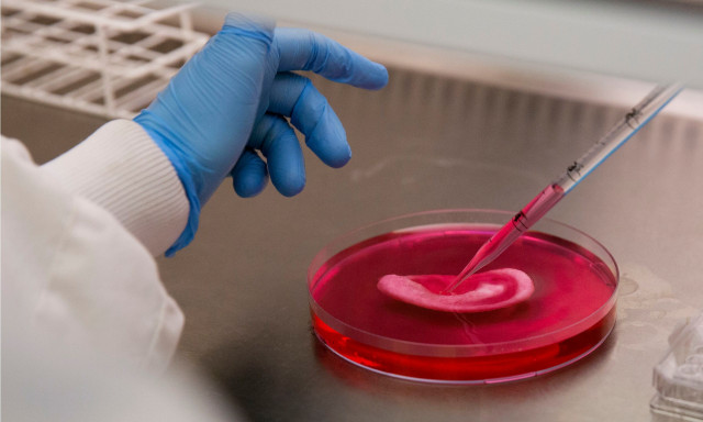 Τεχνητό αίμα από Ιάπωνες επιστήμονες: Συμβατό με όλες τις ομάδες και ανθεκτικό για χρόνια