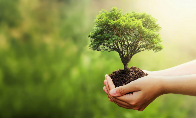 Η ανάγκη για μια νέα περιβαλλοντική ηθική