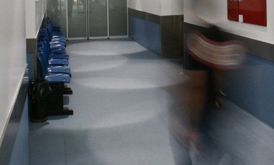 Ρόδος: Κρούσματα τροφικής δηλητηρίασης από διαβολόχορτο