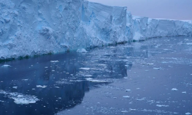 Εντυπωσιακό εύρημα στον πάγο της Ανταρκτικής: Ανακαλύψαμε κοπάδι πλασμάτων που μοιάζουν με αστακούς
