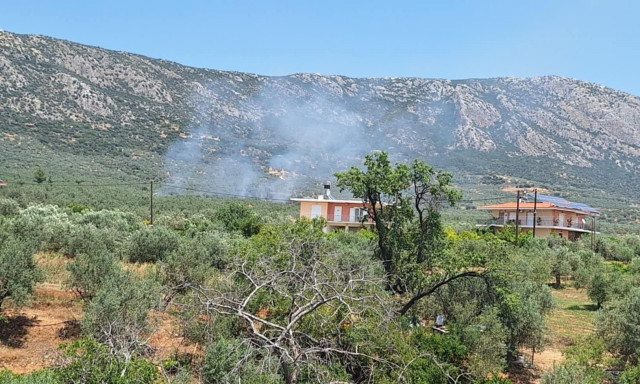 Αργολίδα: Πυρκαγιά κοντά σε σπίτια στον Άγιο Δημήτριο - Άμεση επέμβαση της Πυροσβεστικής