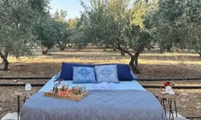Κρήτη: Νοικιάζουν κρεβάτι μέσα στις… ελιές από 106 έως 126 ευρώ το βράδυ