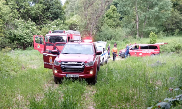 Επίθεση αρκούδας στη Δράμα: Σώος ο ένας περιπατητής, αγνοείται αυτός που έπεσε σε χαράδρα